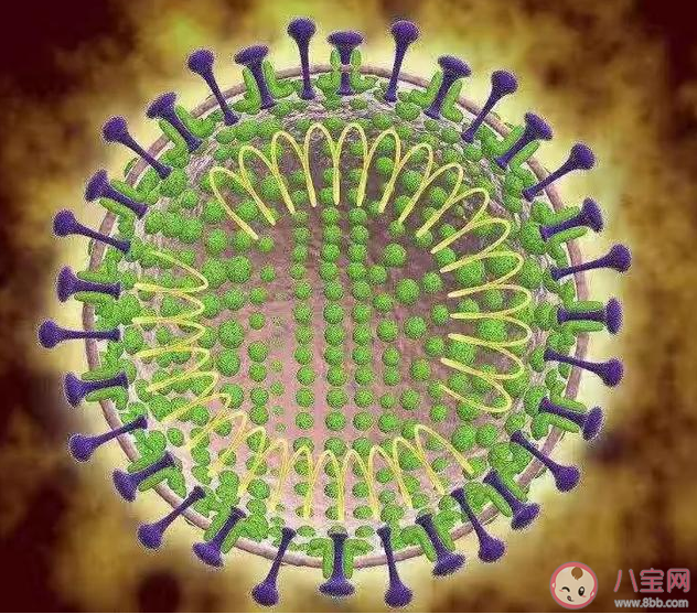 新型冠狀病毒什么時候會結束 新型冠狀病毒什么天氣容易傳播