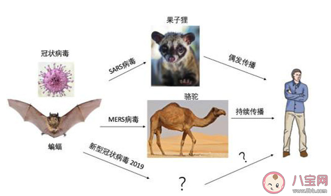 新型冠狀病毒感染了一定會(huì)發(fā)熱嗎 新型冠狀病毒前期的癥狀有哪些