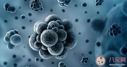 新型肺炎病毒存在變異可能是真的嗎 新型冠狀病毒能治好嗎