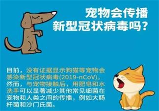 寵物會感染新型肺炎嗎 家里有寵物會不會感染新型肺炎 新型肺炎有寵物家庭怎么做