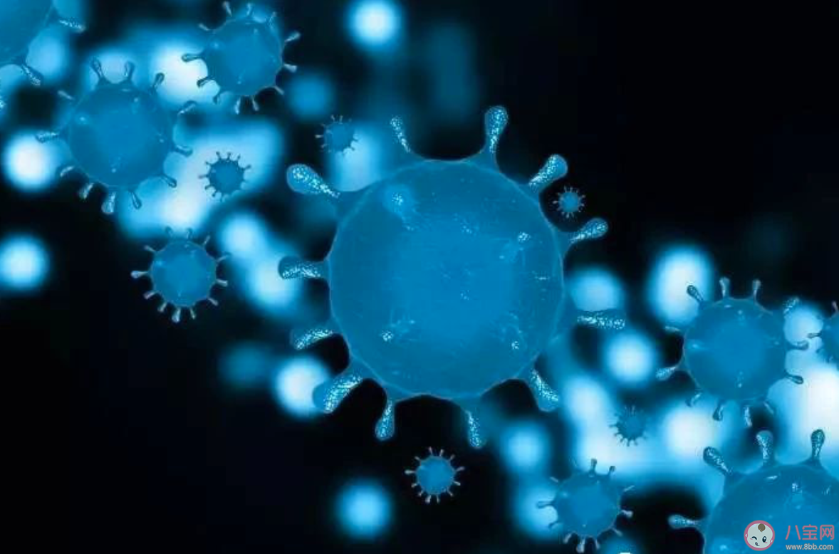 寵物會(huì)感染新型冠狀病毒嗎 寵物會(huì)感染新型肺炎嗎