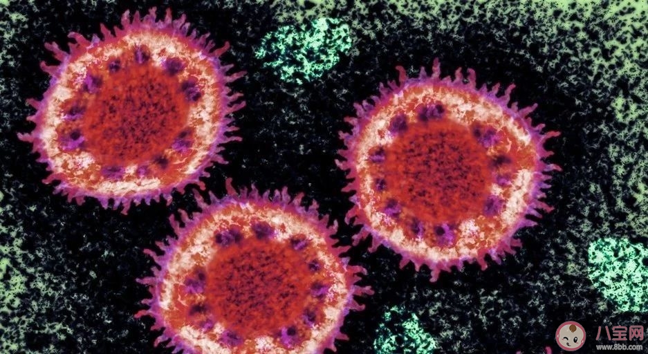 新型冠狀病毒和非典哪個嚴重 新型冠狀病毒是不是非典