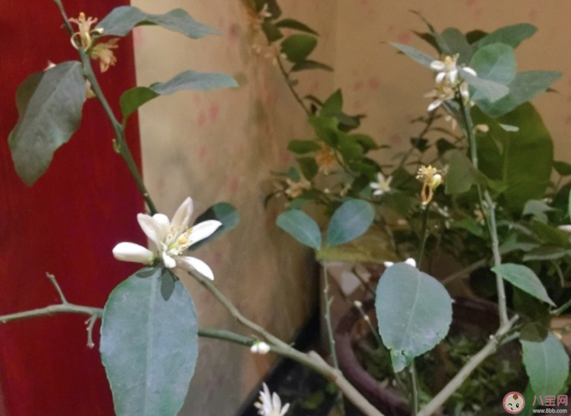 終于開學了配圖說說 終于開學了興奮發朋友圈句子