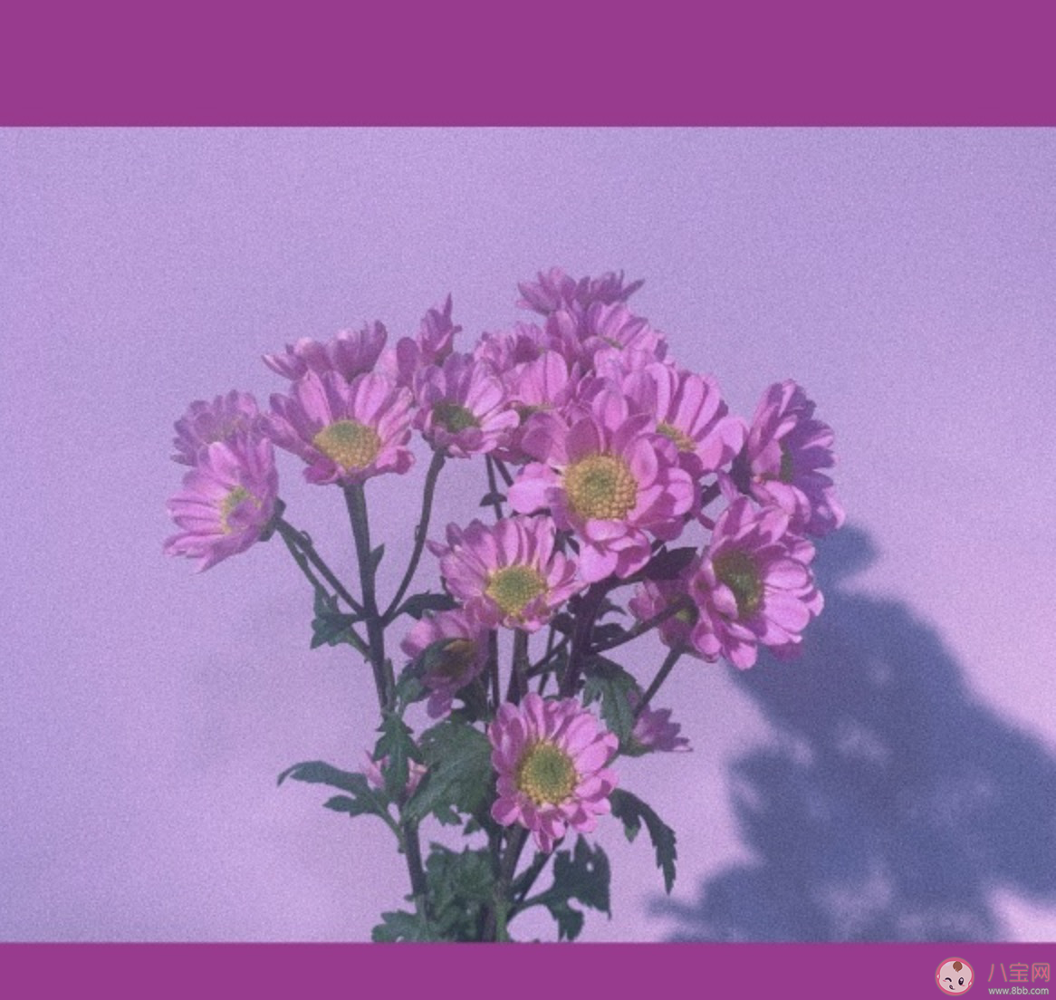 沒有一個春天不會到來文案說說 沒有一個春天不會到來心情感言句子 沒有一個春天不會到來文案說說 沒有一個春天不會到來心情感言句子