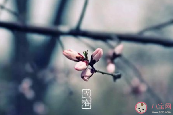 2020年有兩個(gè)立春是什么意思 2020年為什么有兩個(gè)立春 2020年有兩個(gè)立春是什么意思 2020年為什么有兩個(gè)立春