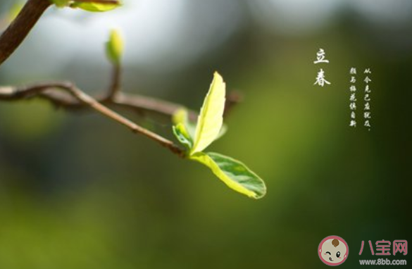 2020年有兩個(gè)立春是什么意思 2020年為什么有兩個(gè)立春 2020年有兩個(gè)立春是什么意思 2020年為什么有兩個(gè)立春