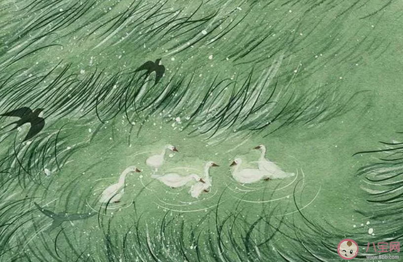 春天來了朋友圈文案 春天來了朋友圈文案句子大全