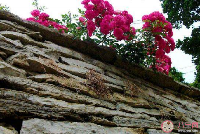 2020關(guān)于春天的有意境的古詩大全 描寫春天的優(yōu)美詩詞賞析