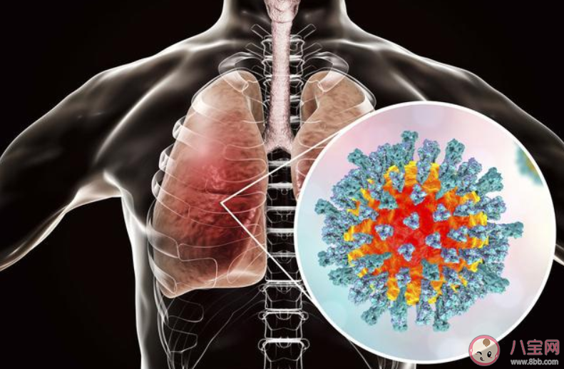 2020關(guān)于此次疫情的作文范文800字大全 新型冠狀病毒疫情優(yōu)秀作文精選