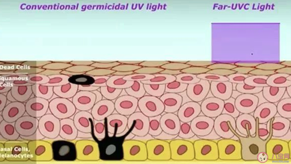 紫外線能殺死冠狀病毒嗎 紫外線對新型冠狀病毒有用嗎