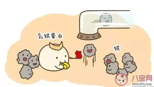 乳鐵蛋白粉能預防新型肺炎嗎 吃乳鐵蛋白粉對新型肺炎有用嗎