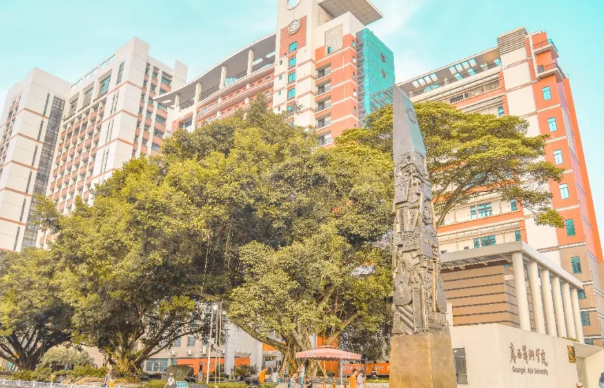 疫情下藝術校考會取消嗎 疫情下藝術校考會延期嗎 疫情下藝術校考會取消嗎 疫情下藝術校考會延期嗎