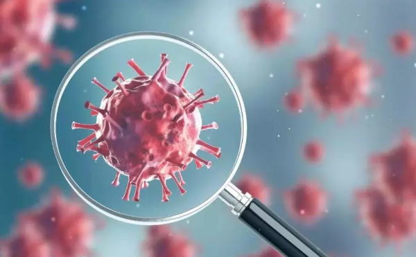 關于疫情的感悟作文大全 疫情的感悟作文600字