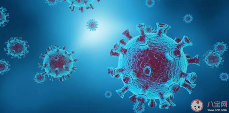 新冠肺炎疫情的英語高頻詞匯 新冠肺炎疫情高頻英語熱點詞匯匯總