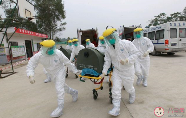 疫情時期我的感受作文怎么寫 疫情時期我的感受作文三篇