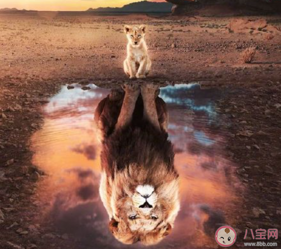 第一次讀到就震撼的句子  有哪些第一次讀就被震撼的句子