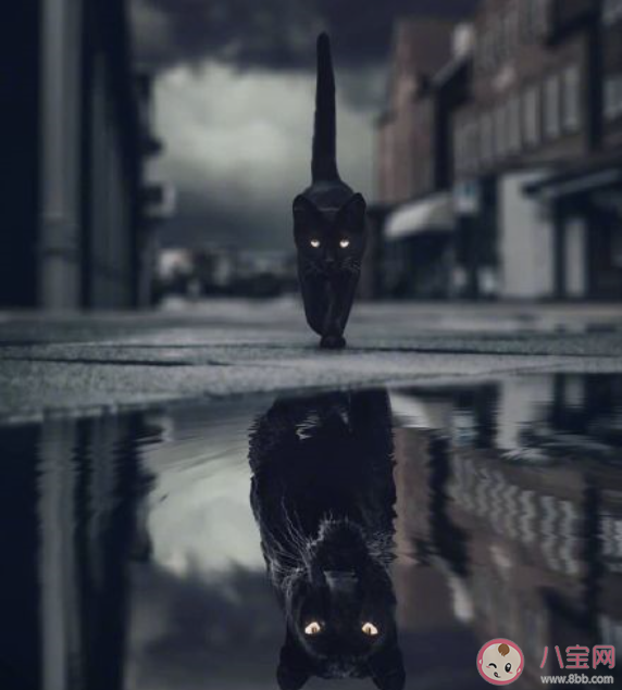 第一次讀到就震撼的句子  有哪些第一次讀就被震撼的句子