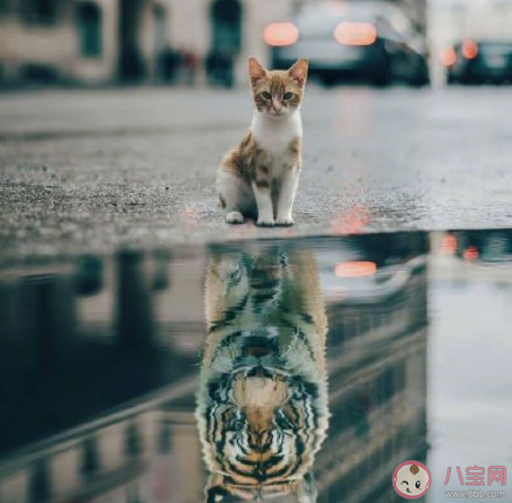 第一次讀到就震撼的句子  有哪些第一次讀就被震撼的句子