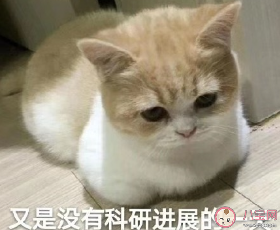 在家想要學習的我的感受句子 在家里學習的狀態心情感言