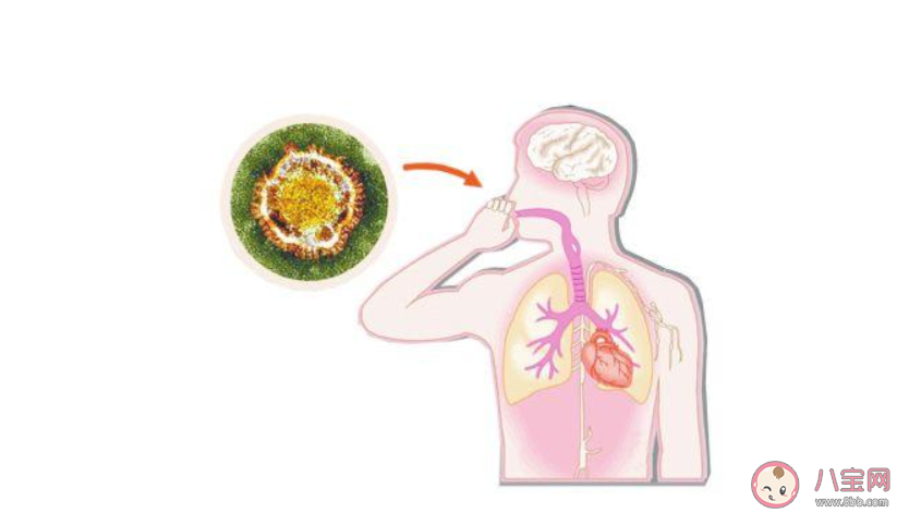 新冠肺炎疫情4月前會(huì)結(jié)束嗎 新冠肺炎疫情什么時(shí)候會(huì)結(jié)束