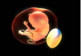 疫情期間適合備孕嗎 疫情期間備孕要考慮哪些問題