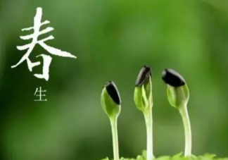 春季備孕懷孕幾率大嗎2020 春季如何健康備孕