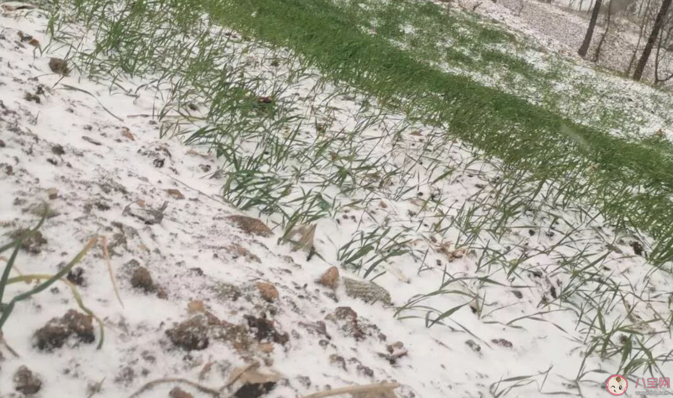 寒冷天氣對(duì)病毒的影響是什么 寒冷天氣對(duì)冠狀病毒有影響嗎 寒冷天氣對(duì)病毒的影響是什么 寒冷天氣對(duì)冠狀病毒有影響嗎