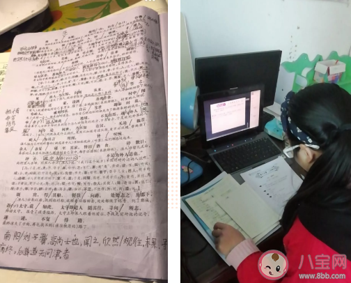 學生上網課體會感悟 關于疫情在家上網課的體會