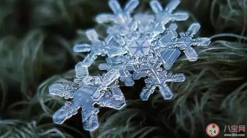 雪崩時沒有一片雪花是無辜出自哪里 沒有一片雪花是無辜的類似句子