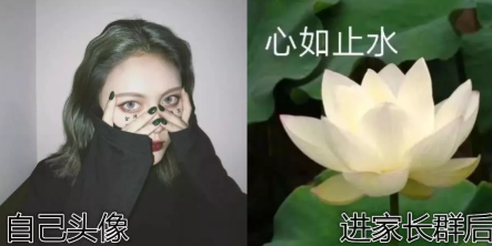 家長群好像在賞花什么意思 家長群好像在賞花什么梗 家長群好像在賞花什么意思 家長群好像在賞花什么梗