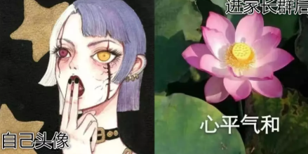 家長群好像在賞花什么意思 家長群好像在賞花什么梗 家長群好像在賞花什么意思 家長群好像在賞花什么梗