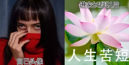 家長群好像在賞花什么意思 家長群好像在賞花什么梗 家長群好像在賞花什么意思 家長群好像在賞花什么梗