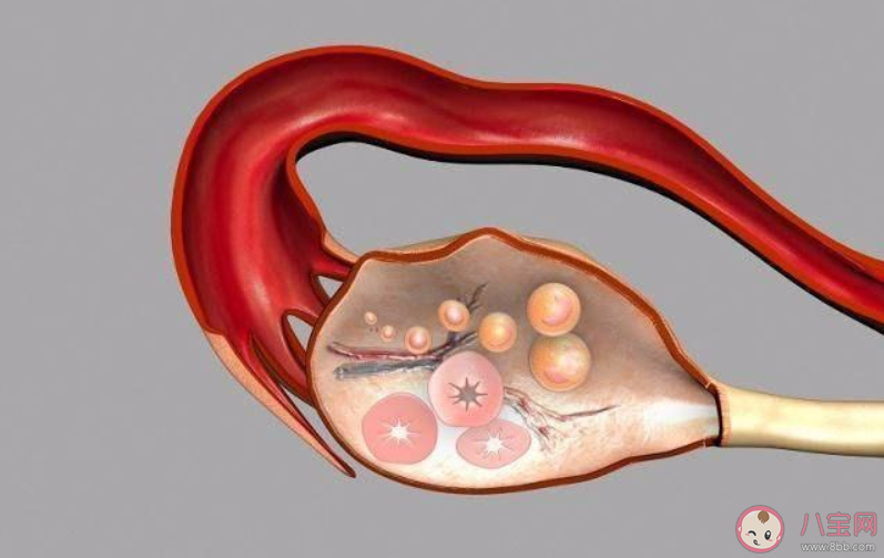 促排卵什么時候去醫院合適 排卵期什么時候同房成功率更高