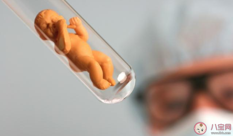 試管嬰兒會影響孩子智商嗎 失敗后多久可以再做試管嬰兒