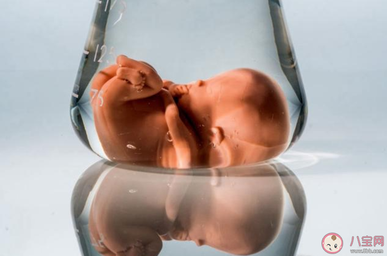 試管嬰兒會影響孩子智商嗎 失敗后多久可以再做試管嬰兒