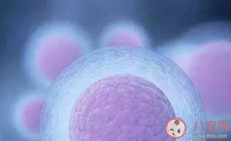 寶寶是從哪來的呀 聰明的家長如何回答