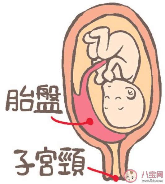 受精卵著床子宮會疼嗎 受精卵著床會有什么感覺2020