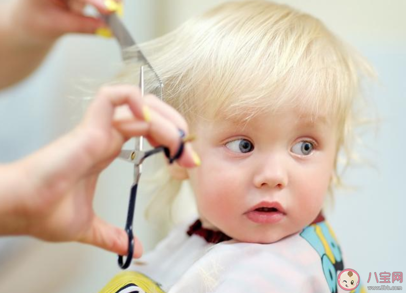 孩子不肯理發怎么辦 不肯理發怎么讓孩子順利配合