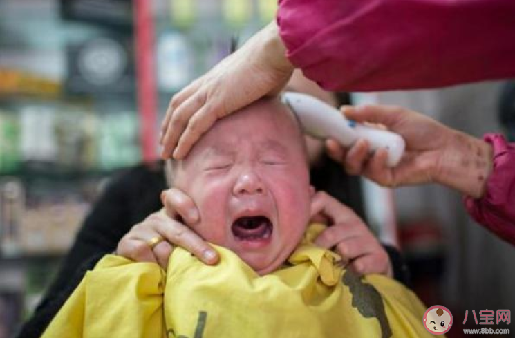 孩子不肯理發怎么辦 不肯理發怎么讓孩子順利配合