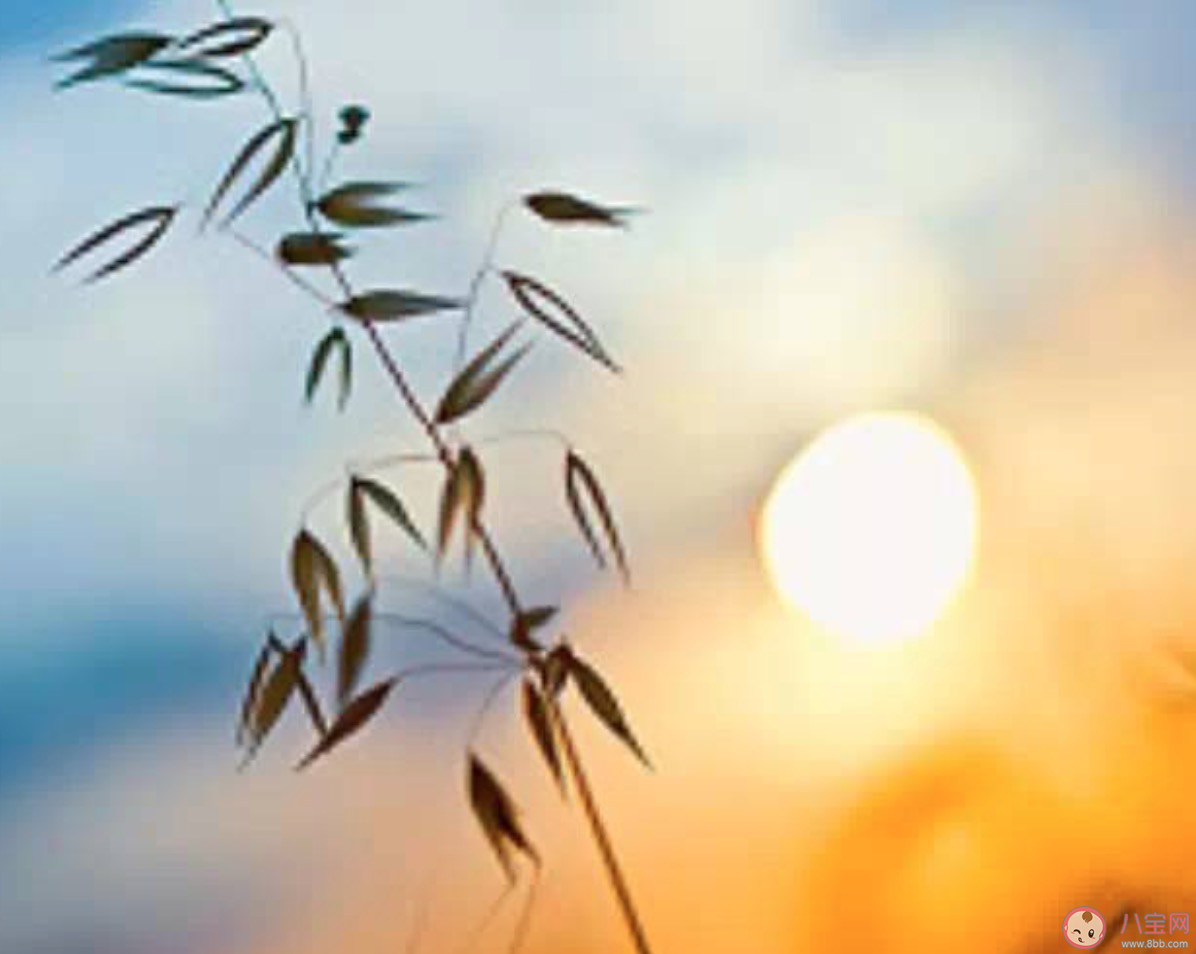 疫情期間可以在家門口曬太陽嗎 疫情期間可以在陽臺(tái)曬太陽嗎