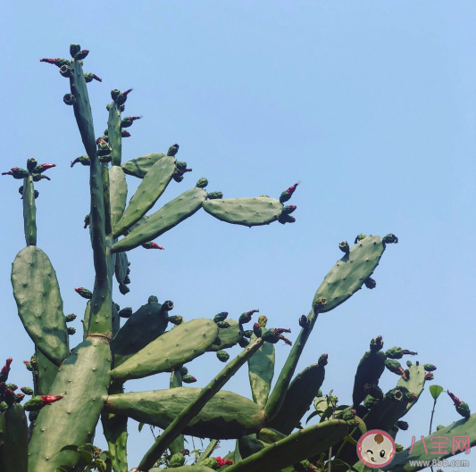 有了寶寶后沒睡個(gè)好覺的說說 朋友圈發(fā)寶寶睡覺說說