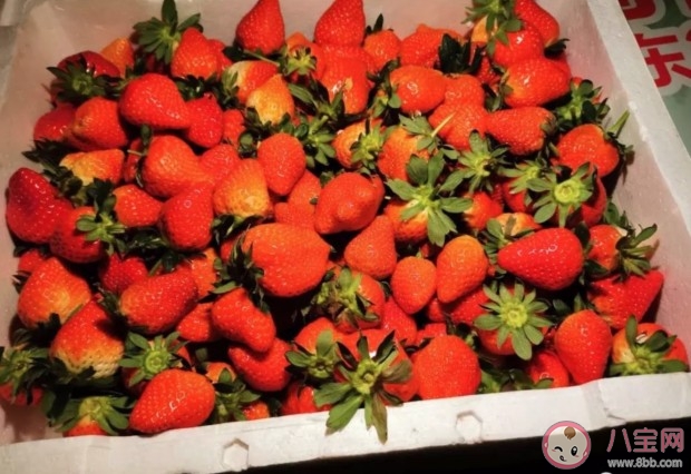 疫情期間吃草莓安全嗎 疫情期間吃草莓怎么消毒
