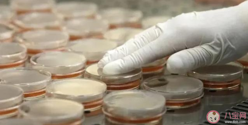 全身哪個地方最容易沾上新冠狀病毒 與感染者密切接觸沒感染是怎么回事