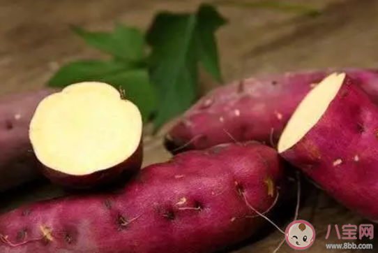 2020春季備孕方法 春季備孕吃什么好 2020春季備孕方法 春季備孕吃什么好