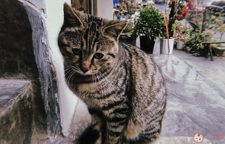 嘀嗒嘀嗒下雨了說說 下雨了說說心情短語 嘀嗒嘀嗒下雨了說說 下雨了說說心情短語