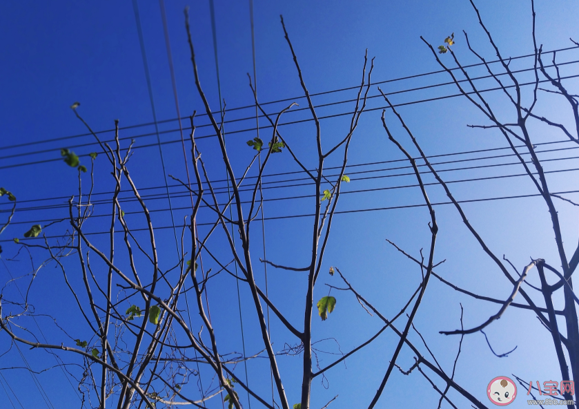 一個人靜靜地聽歌說說 一個人靜靜地聽歌句子心情 一個人靜靜地聽歌說說 一個人靜靜地聽歌句子心情