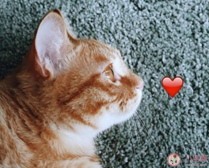 一個人靜靜聽歌的心情朋友圈 一個人靜靜聽歌的感想