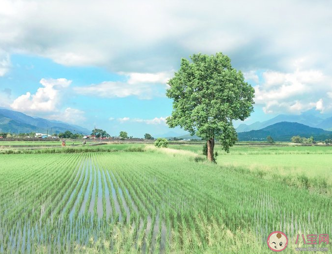 喜歡靜靜地聽歌說說句子 關于喜歡靜靜地聽歌的朋友圈