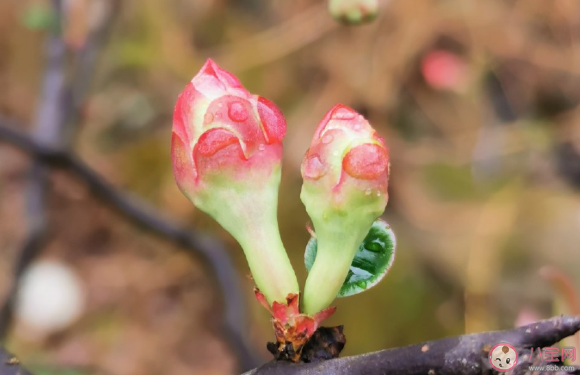 喜歡靜靜地聽歌說說句子 關于喜歡靜靜地聽歌的朋友圈