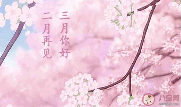 2月最后一天的心情句子 2020二月再見了的心情文案說說 2月最后一天的心情句子 2020二月再見了的心情文案說說